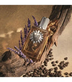 Devotion Para Hombre de Dolce and Gabbana edp 100 ml para Caballero - Envío a todo México y pago a plazos