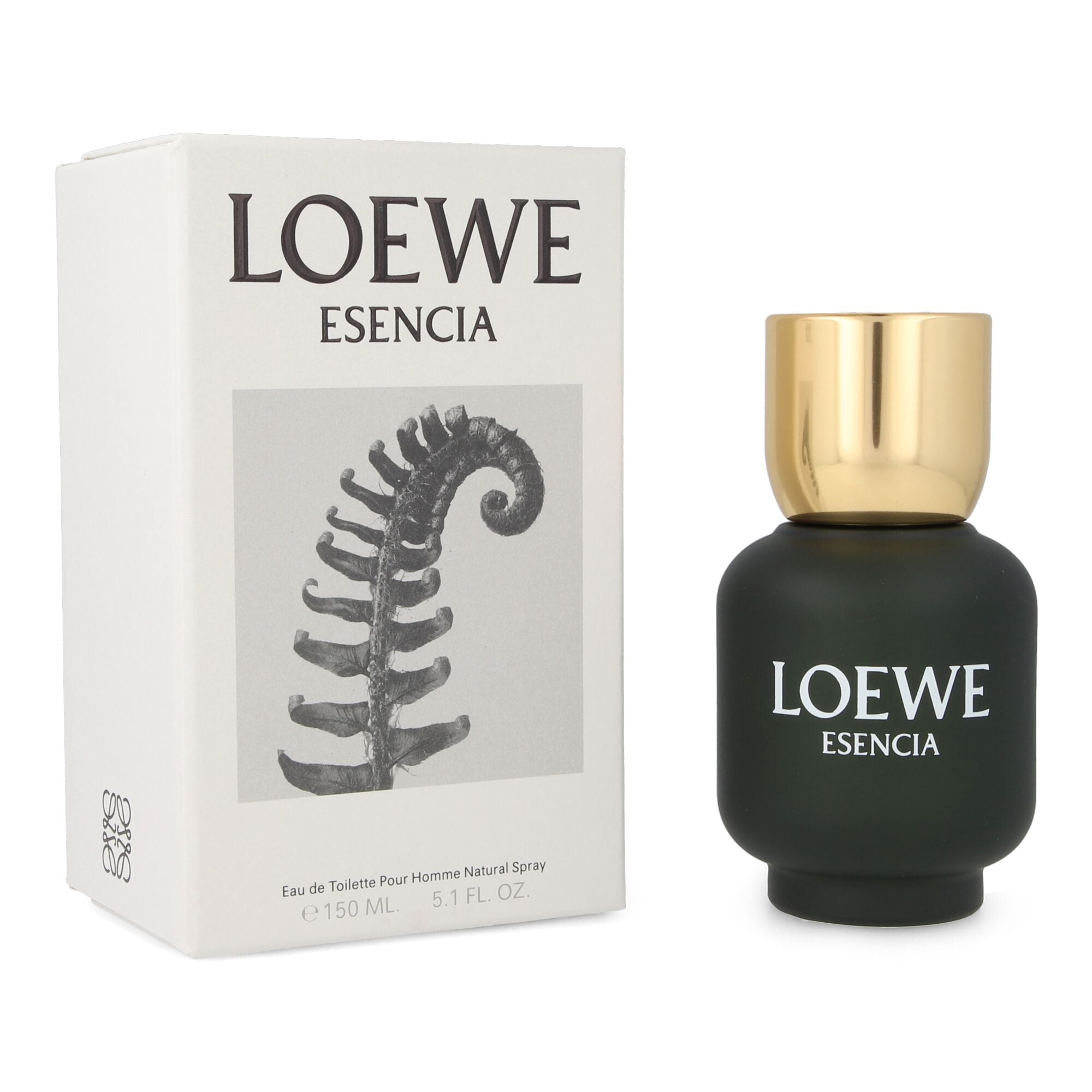 Fragancia Perfume Loewe De Hombre Loewe Pour Homme Precio