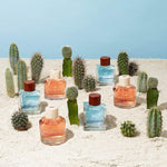 Hollister Canyon Escape for Him de Hollister 100 ml edt para Caballero