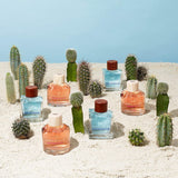 Hollister Canyon Escape for Him de Hollister 100 ml edt para Caballero